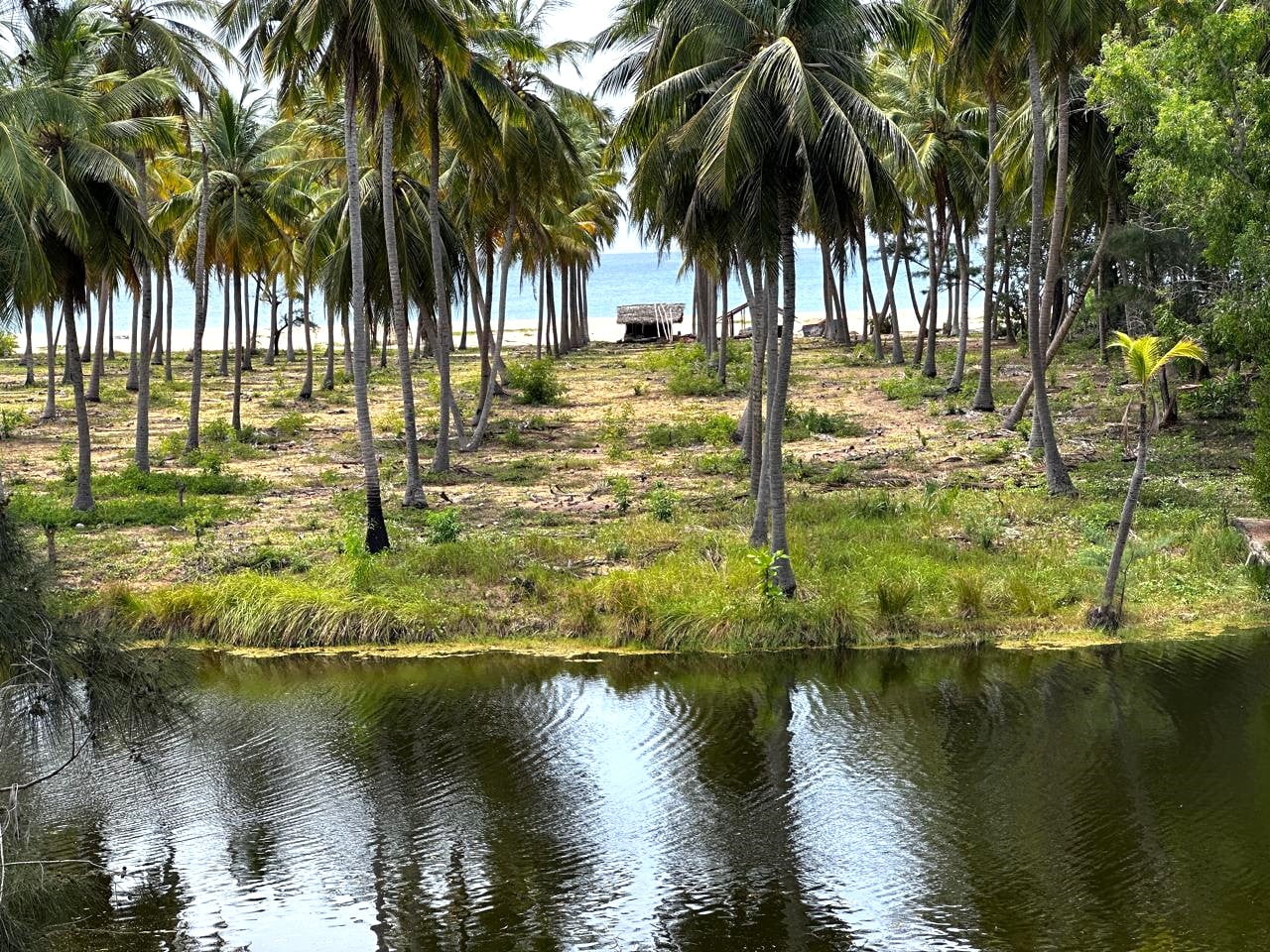 Beachfront Land in Passikuda _ 9.5 acres_BCS00133 (10)
