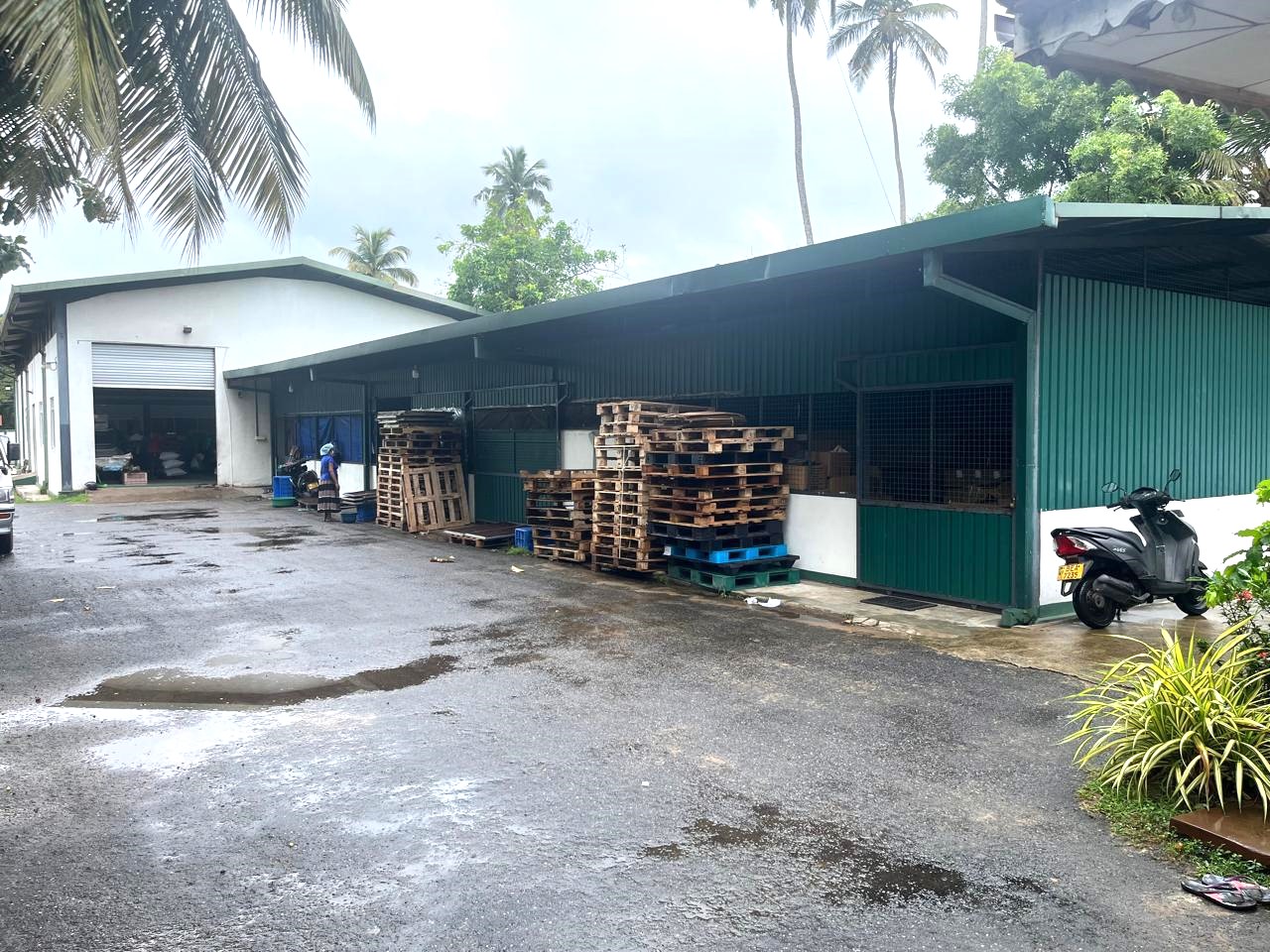 WhatsApp Image 2026-01-05 at 11.36.35 AM